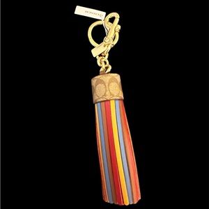 Coach Colorful Striped Tassel Key Holder